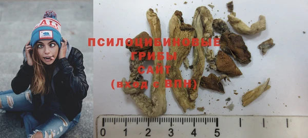 соль курить ск Дмитровск