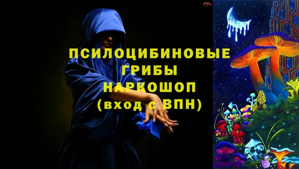 PSILOCYBIN Дмитров