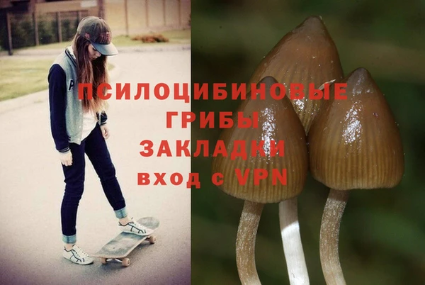 PSILOCYBIN Дмитров